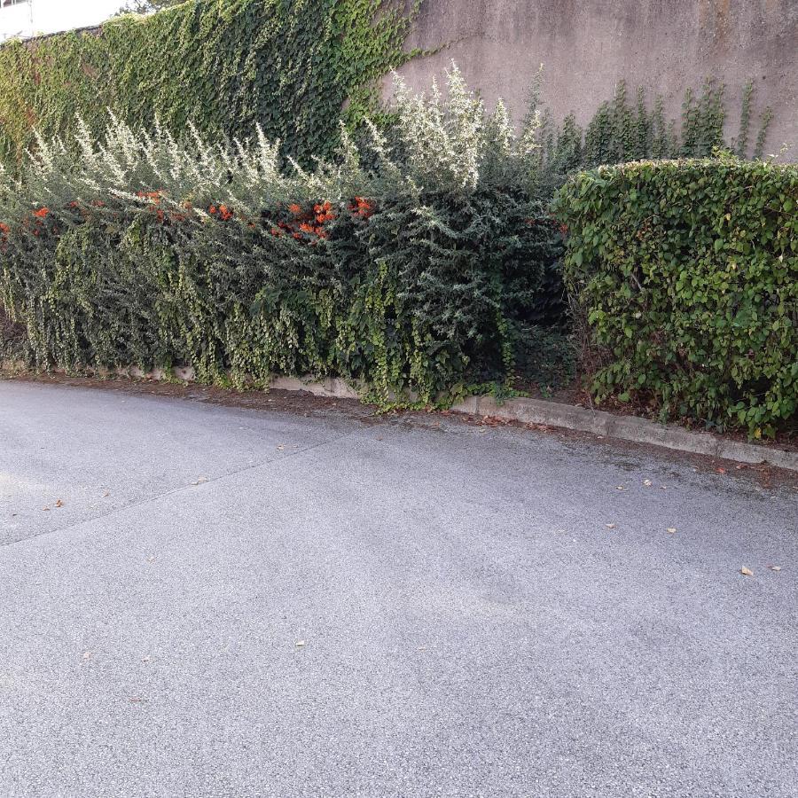 Le Phenix A Internet Haut Debit & Parking Dijon Exterior foto